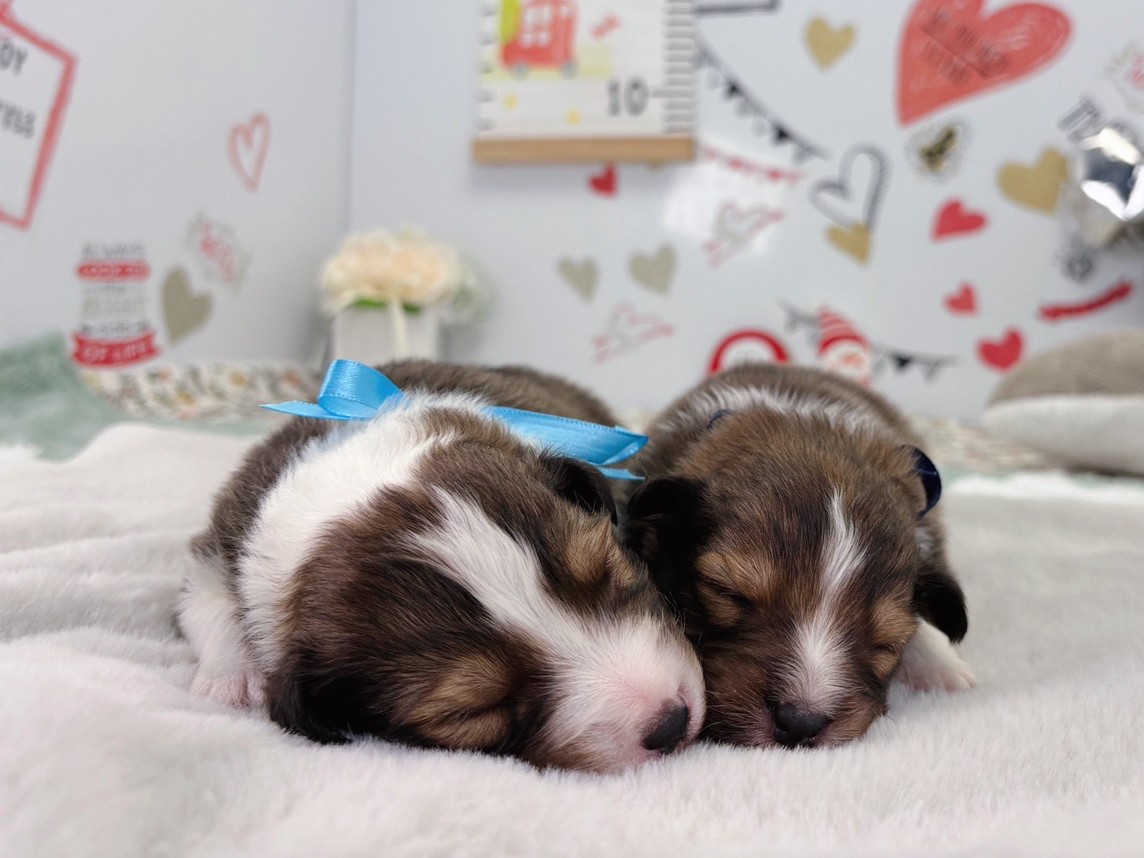 赤ちゃん写真1-3