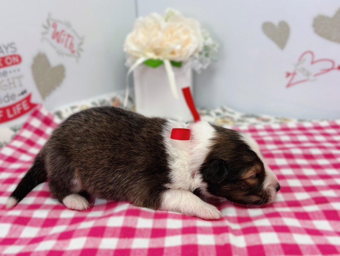 赤ちゃん写真1-2