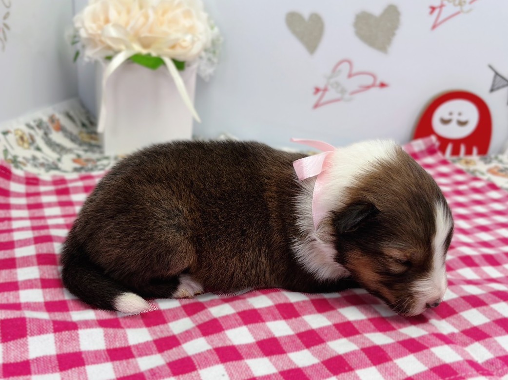 赤ちゃん写真1-2