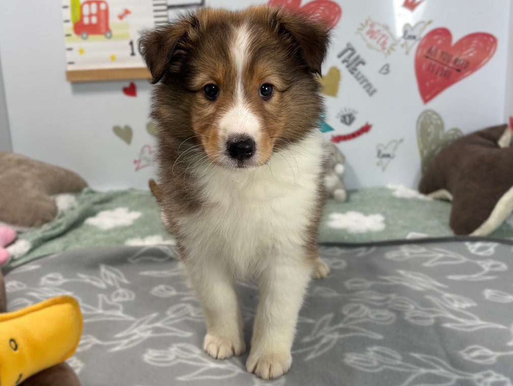 赤ちゃん写真2-1