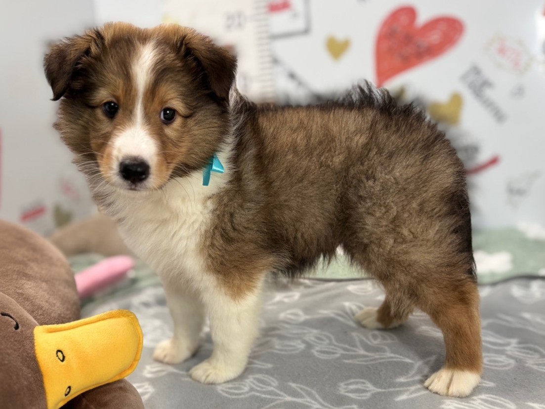 赤ちゃん写真2-2