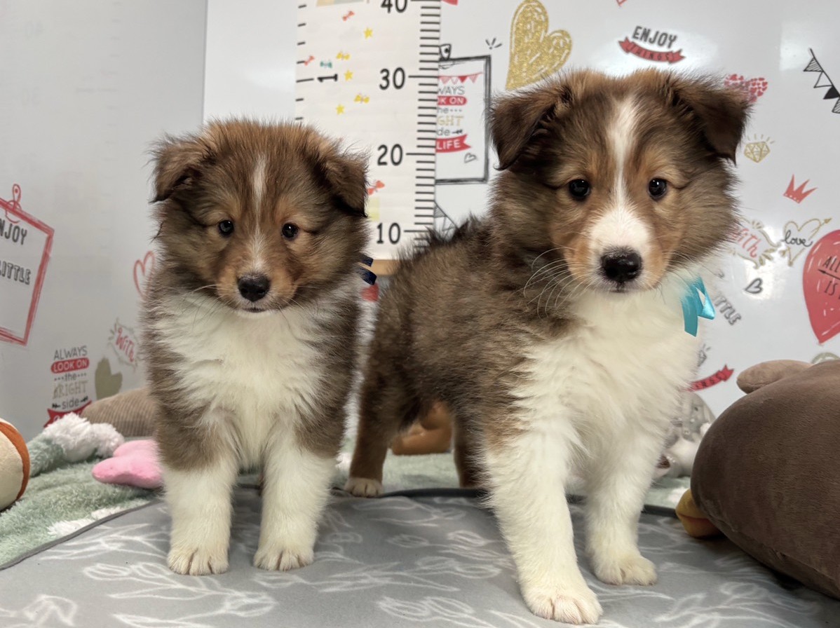 赤ちゃん写真2-3