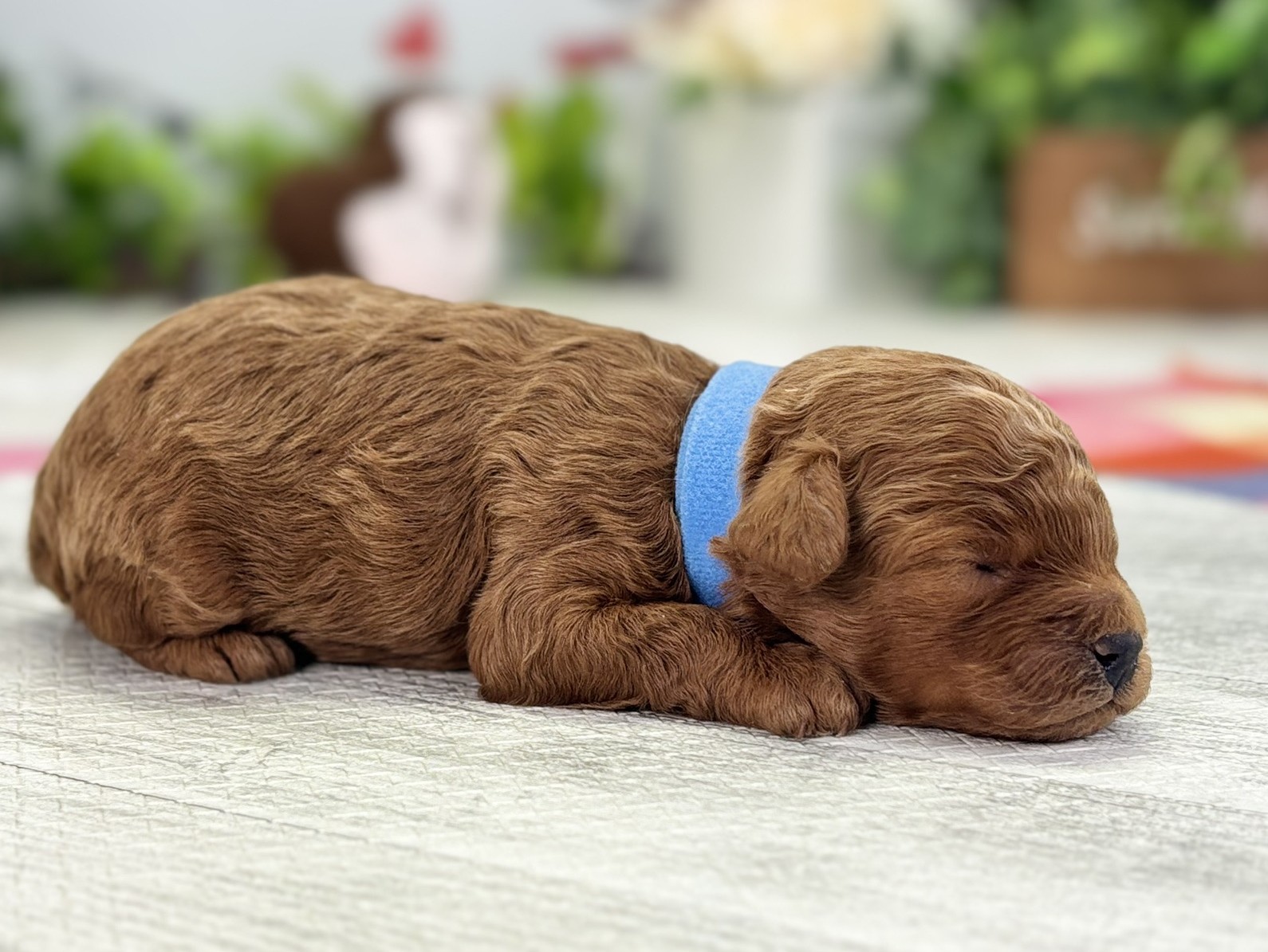 赤ちゃん写真1-2