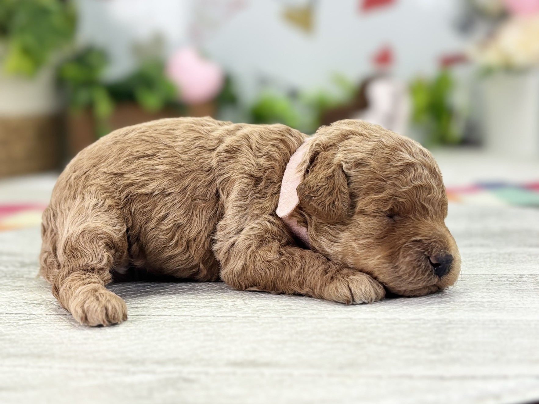 赤ちゃん写真1-2