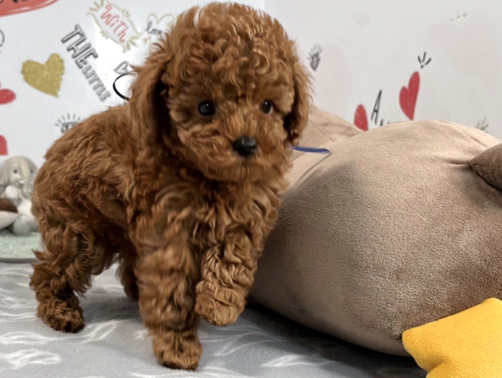 赤ちゃん写真2-1