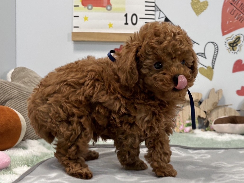 赤ちゃん写真2-2