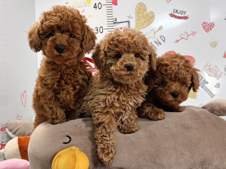 赤ちゃん写真2-3