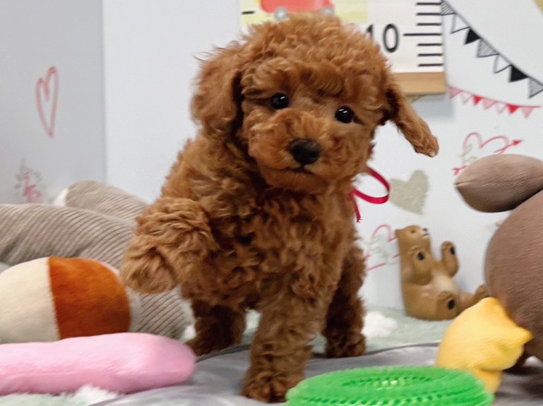 赤ちゃん写真2-1