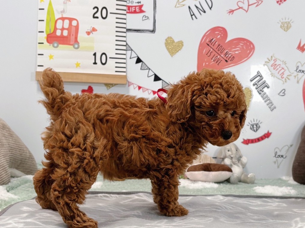 赤ちゃん写真2-2