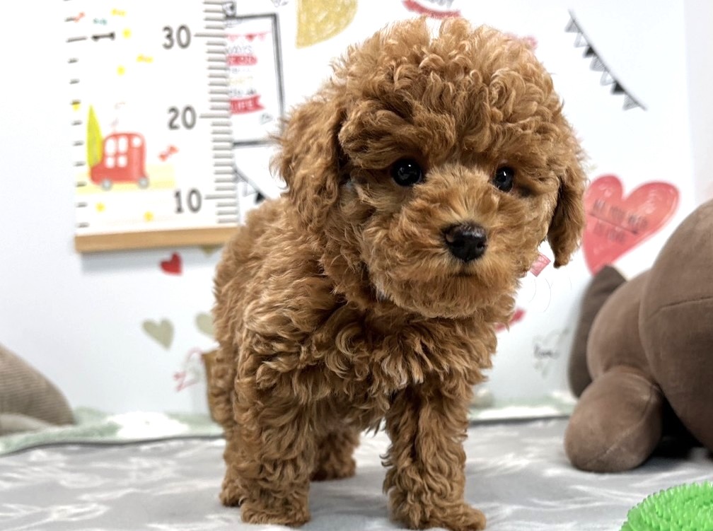 赤ちゃん写真2-1