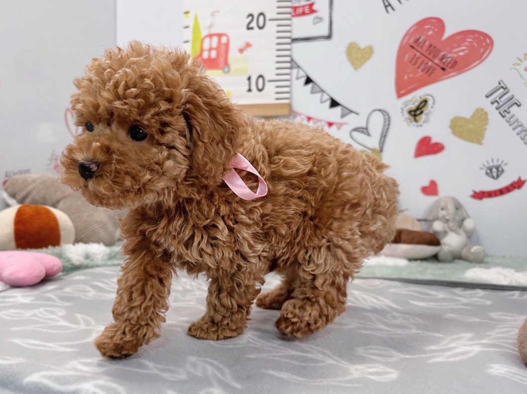 赤ちゃん写真2-2