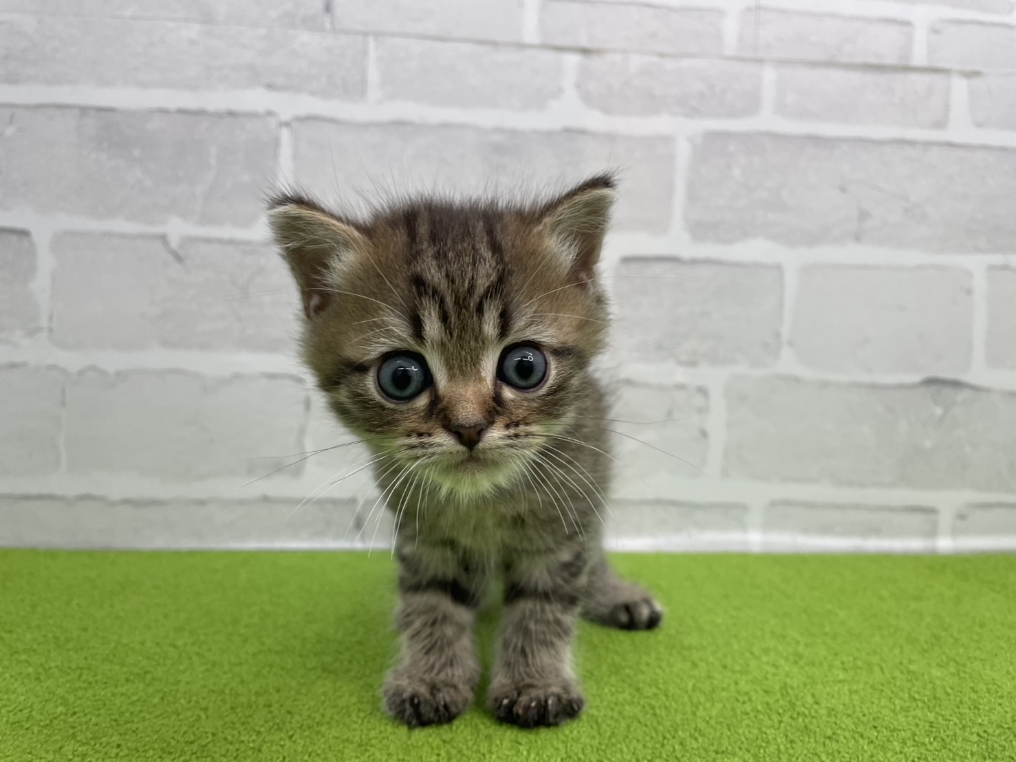 赤ちゃん写真2-1