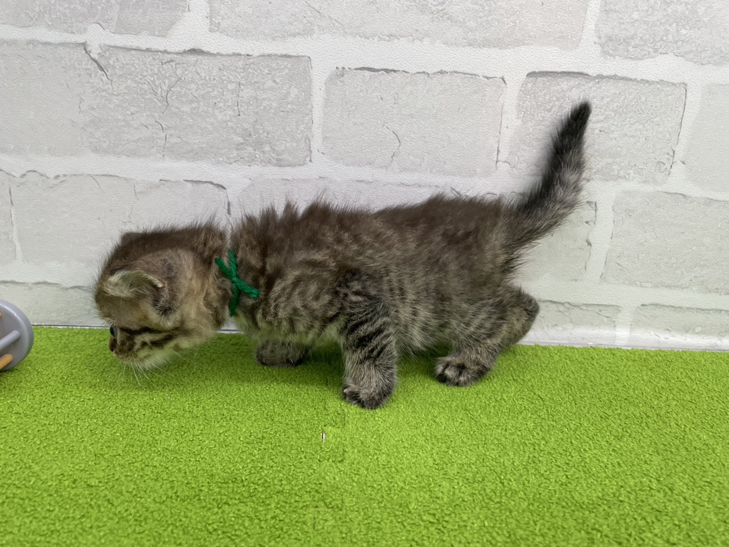 赤ちゃん写真2-2