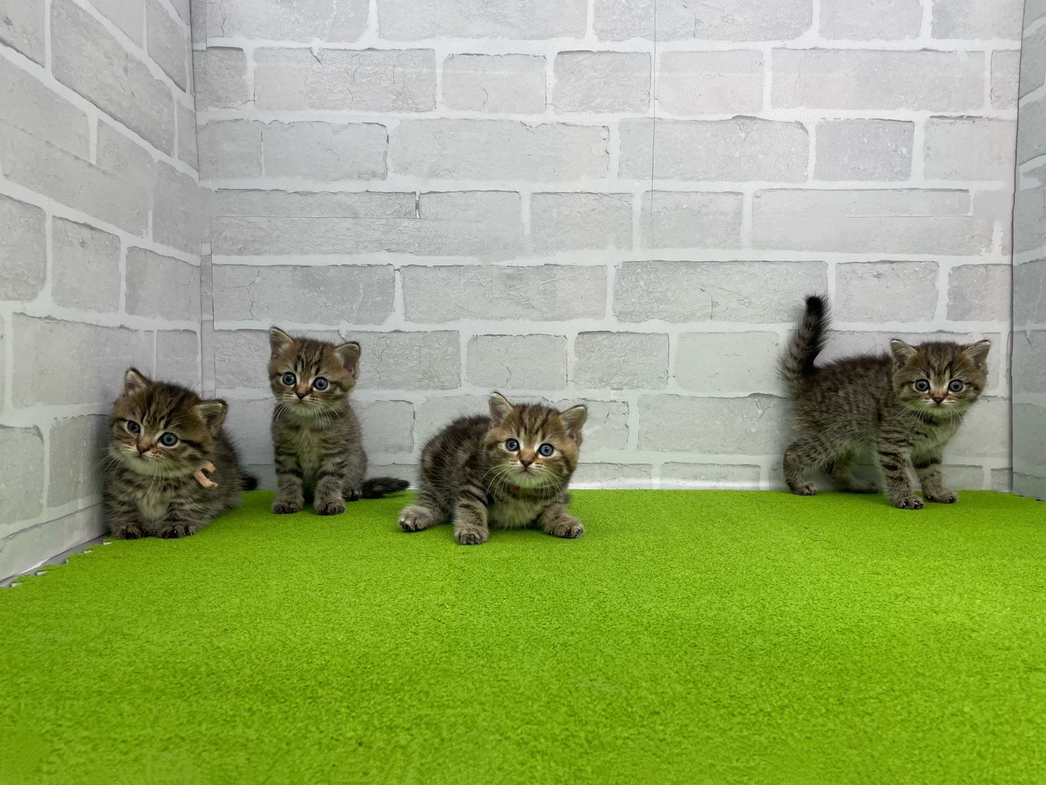 赤ちゃん写真2-3