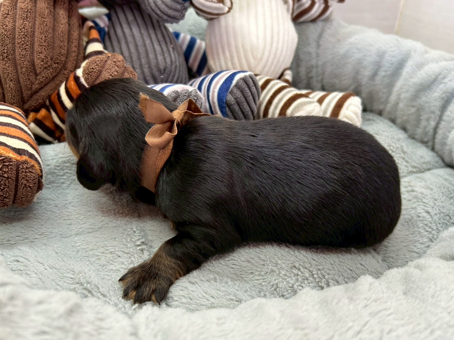 赤ちゃん写真1-2