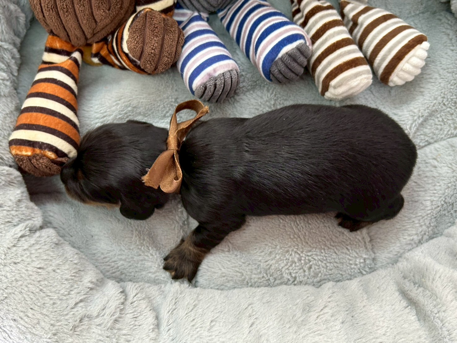 赤ちゃん写真1-3