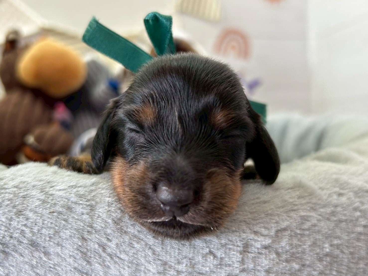 赤ちゃん写真1-1