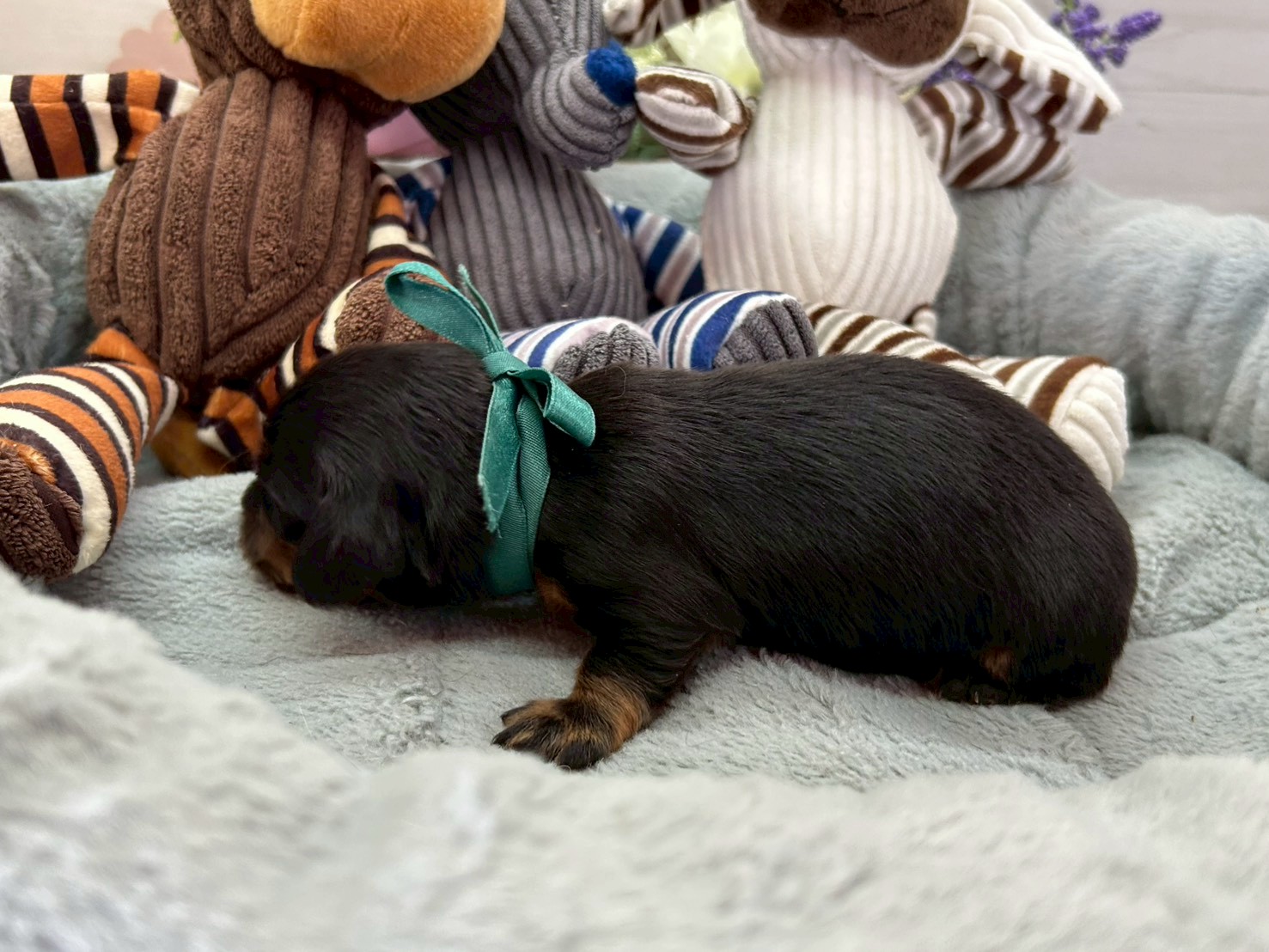 赤ちゃん写真1-2