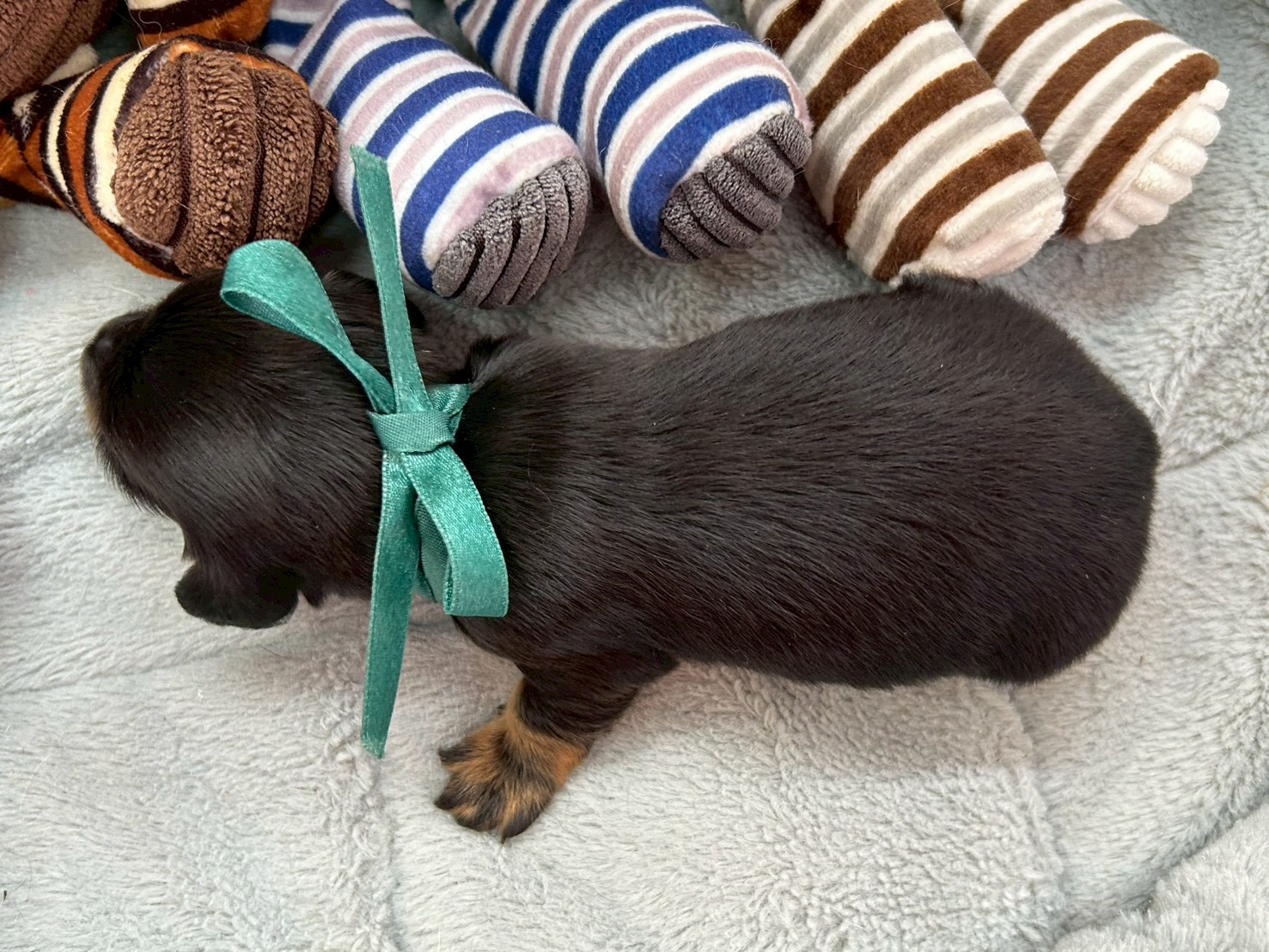 赤ちゃん写真1-3