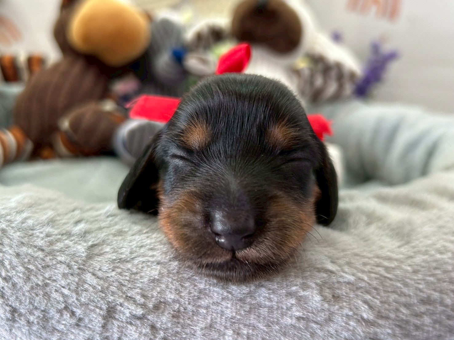 赤ちゃん写真1-1