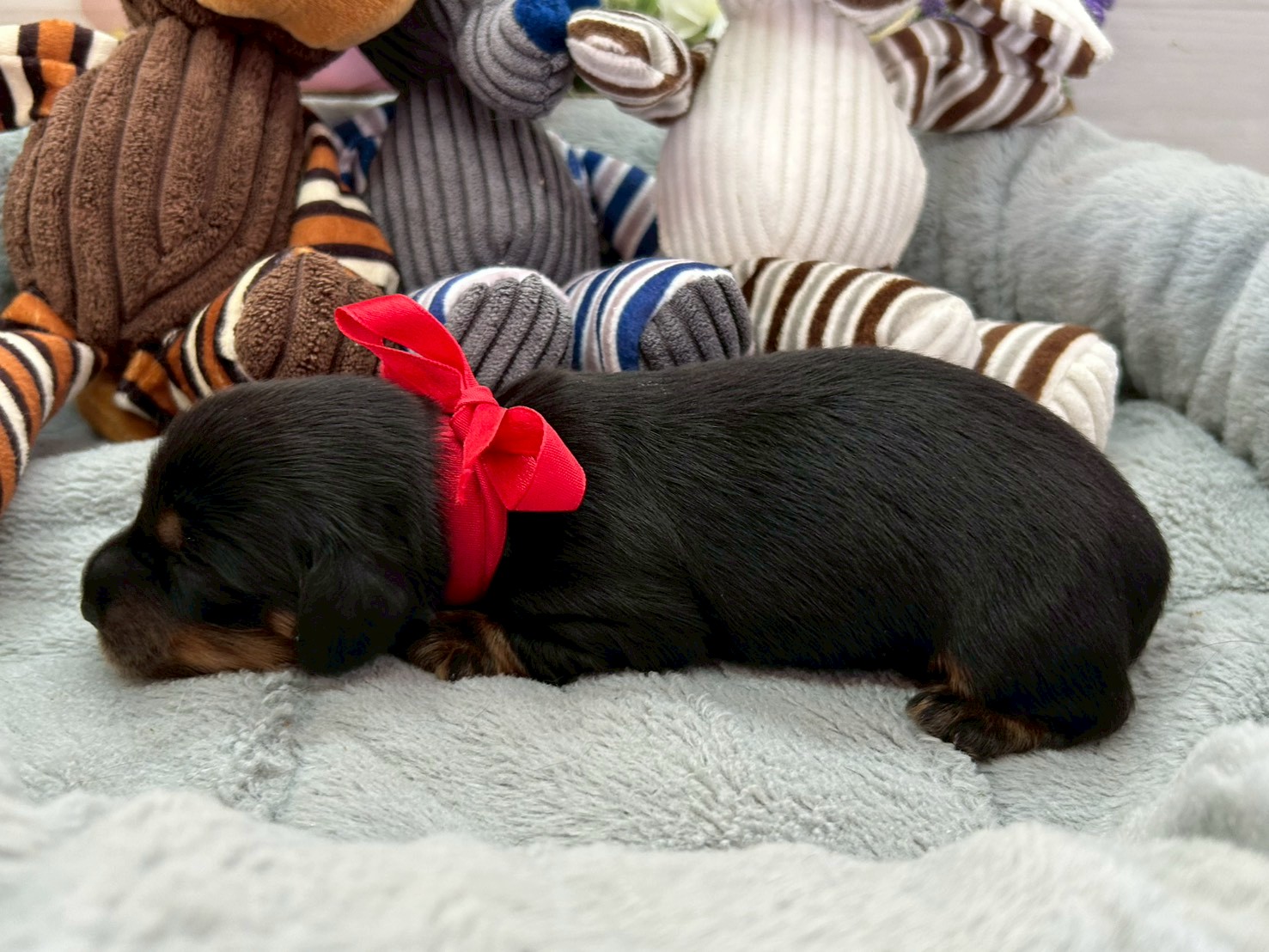 赤ちゃん写真1-2