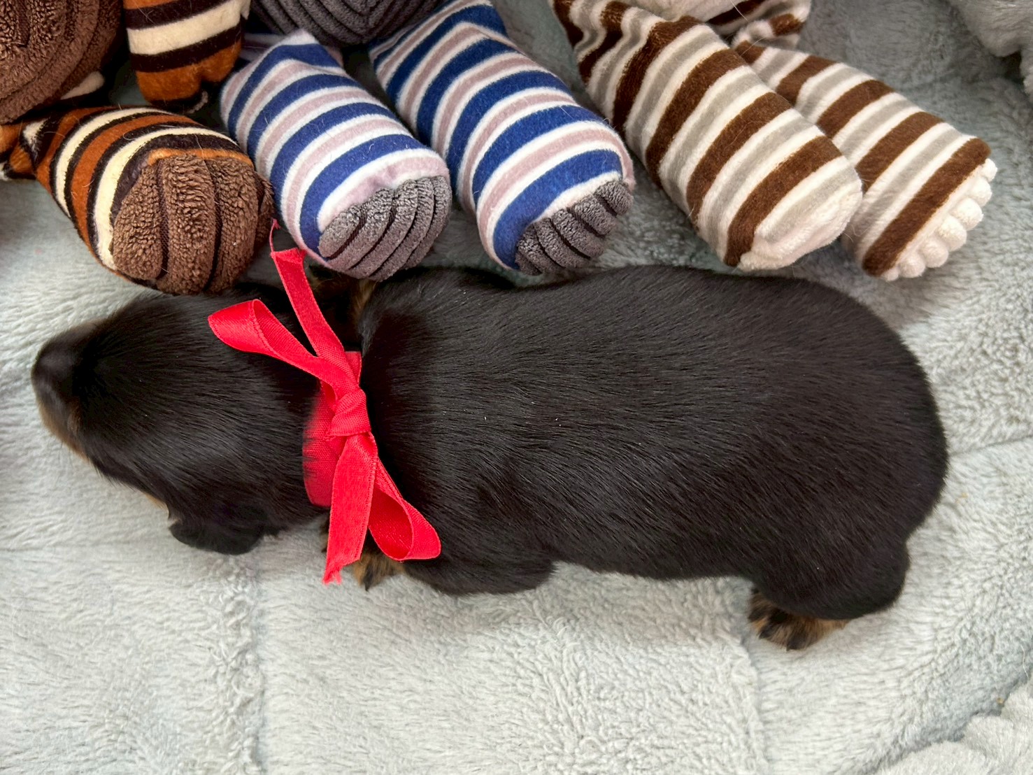 赤ちゃん写真1-3