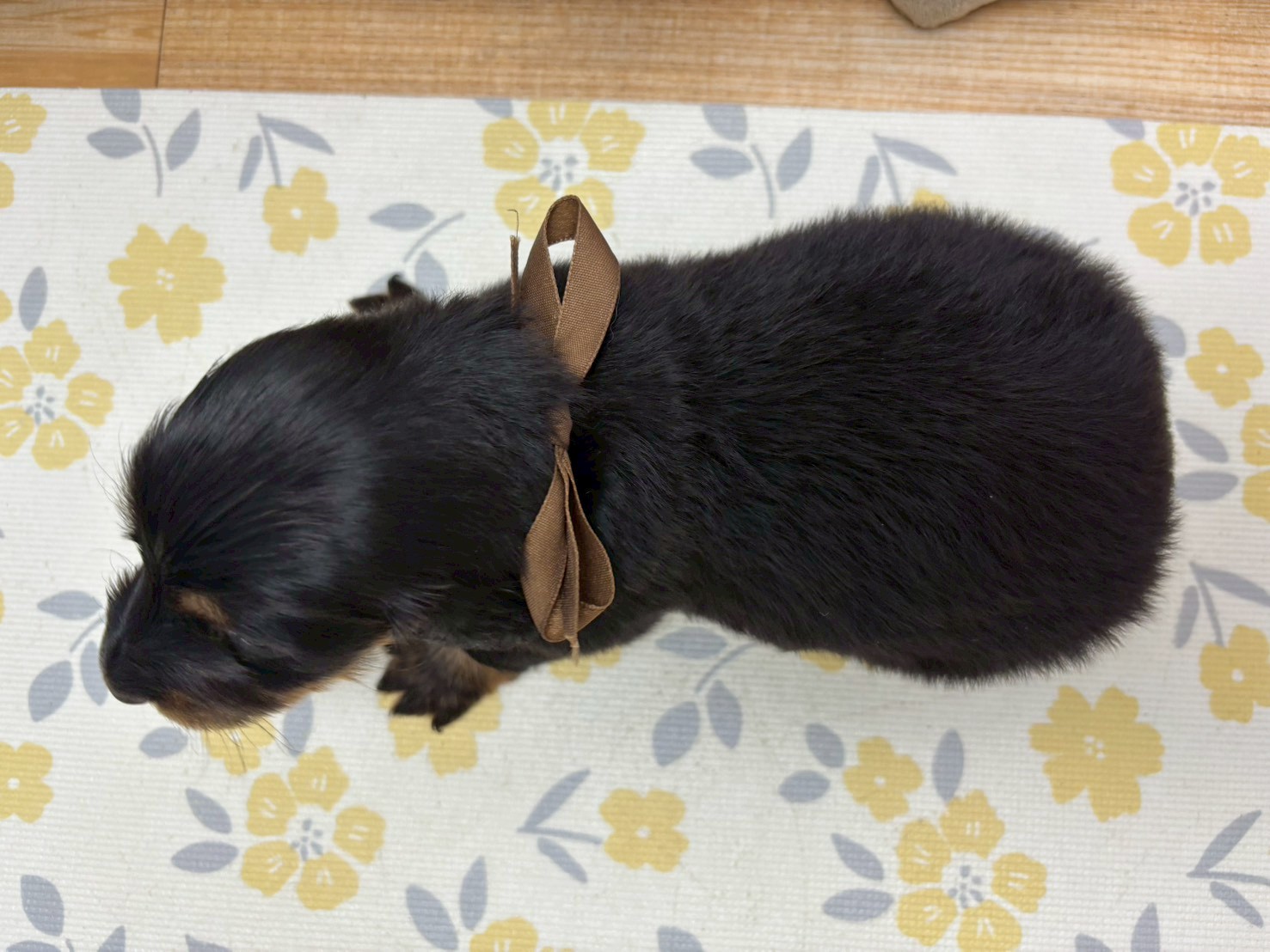 赤ちゃん写真2-3