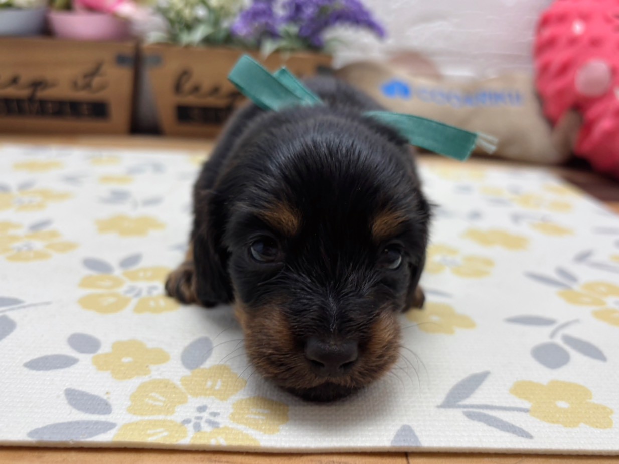 赤ちゃん写真2-1