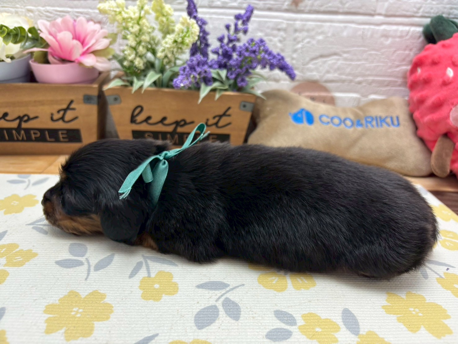 赤ちゃん写真2-2