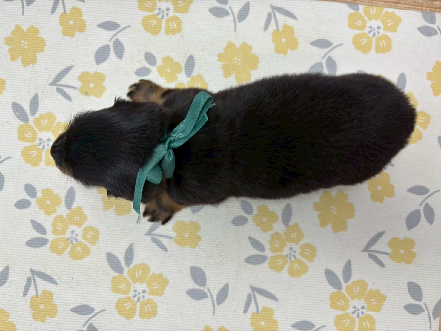 赤ちゃん写真2-3