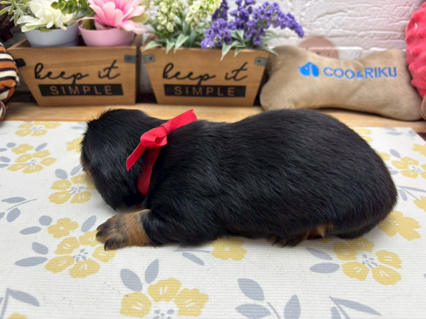 赤ちゃん写真2-2