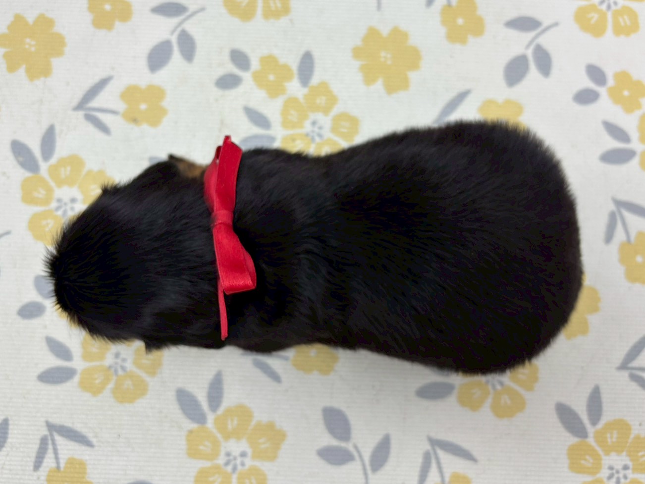 赤ちゃん写真2-3