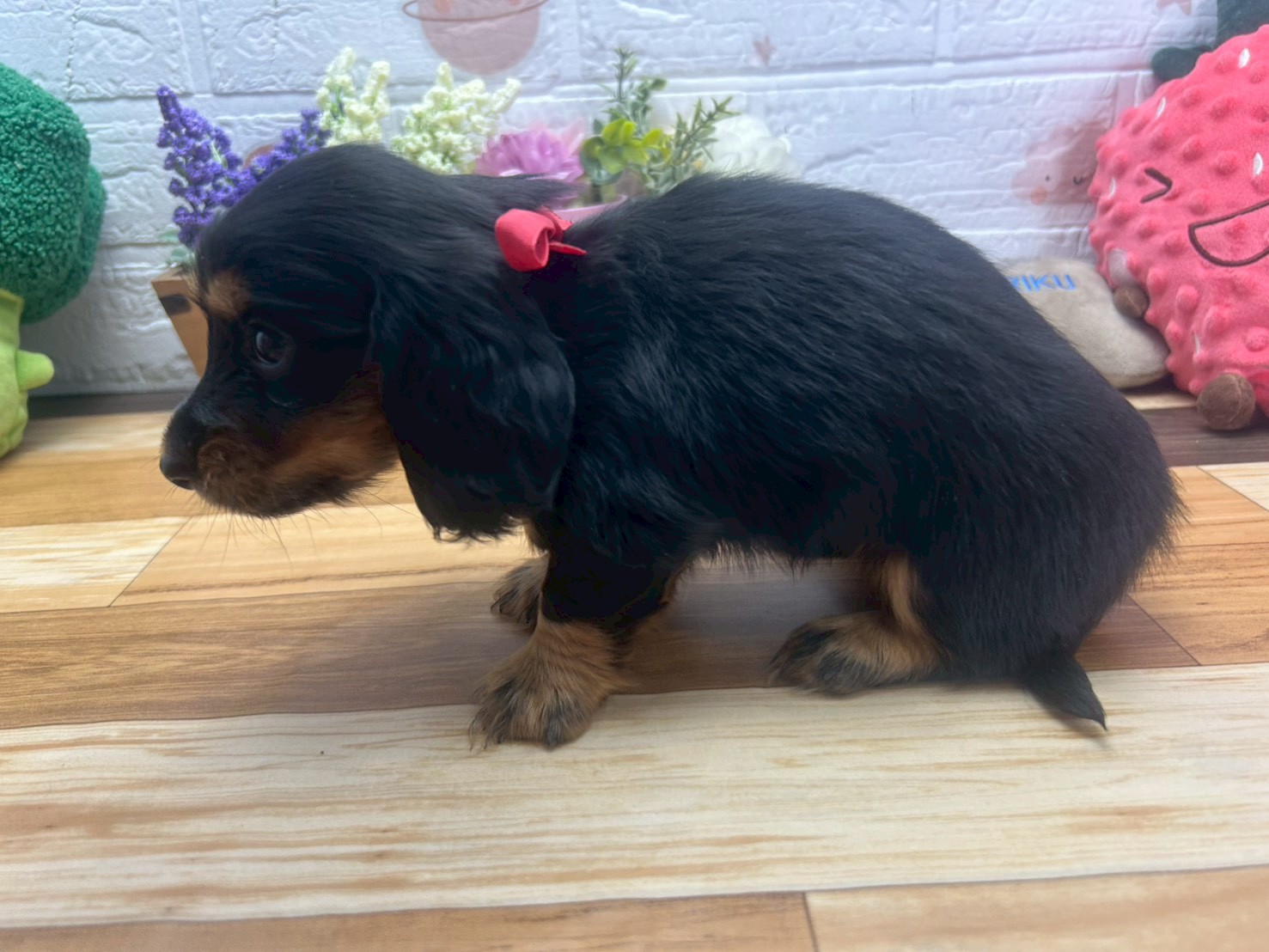 赤ちゃん写真3-2