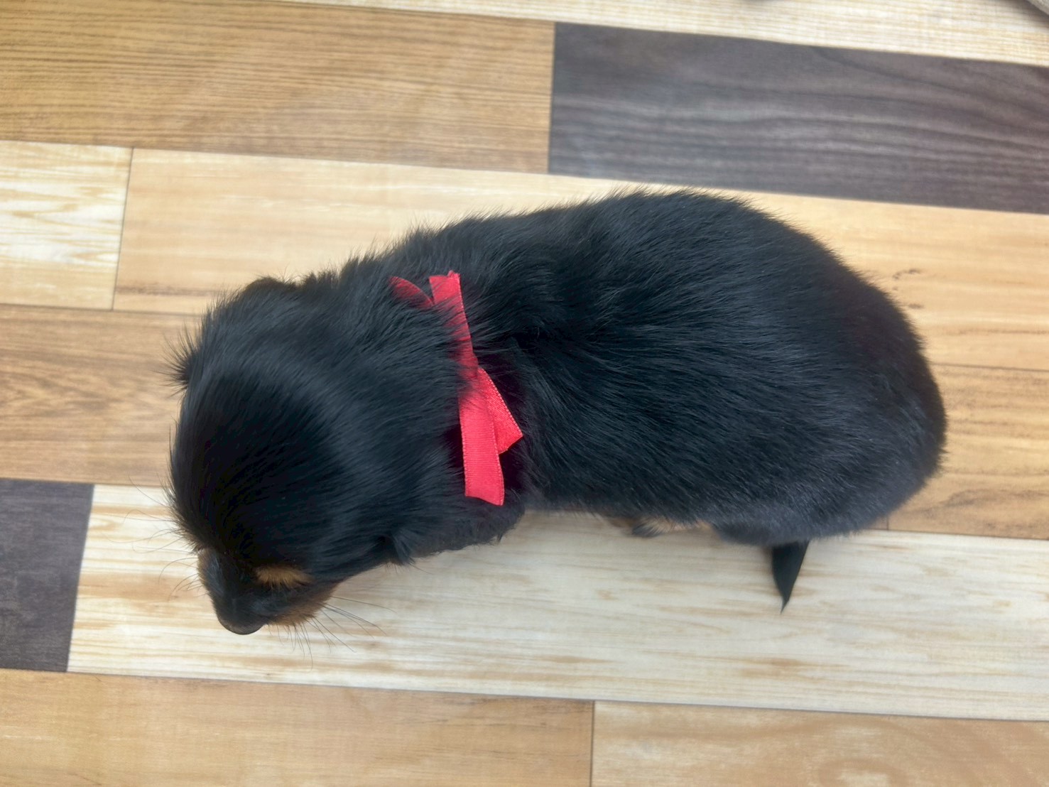 赤ちゃん写真3-3