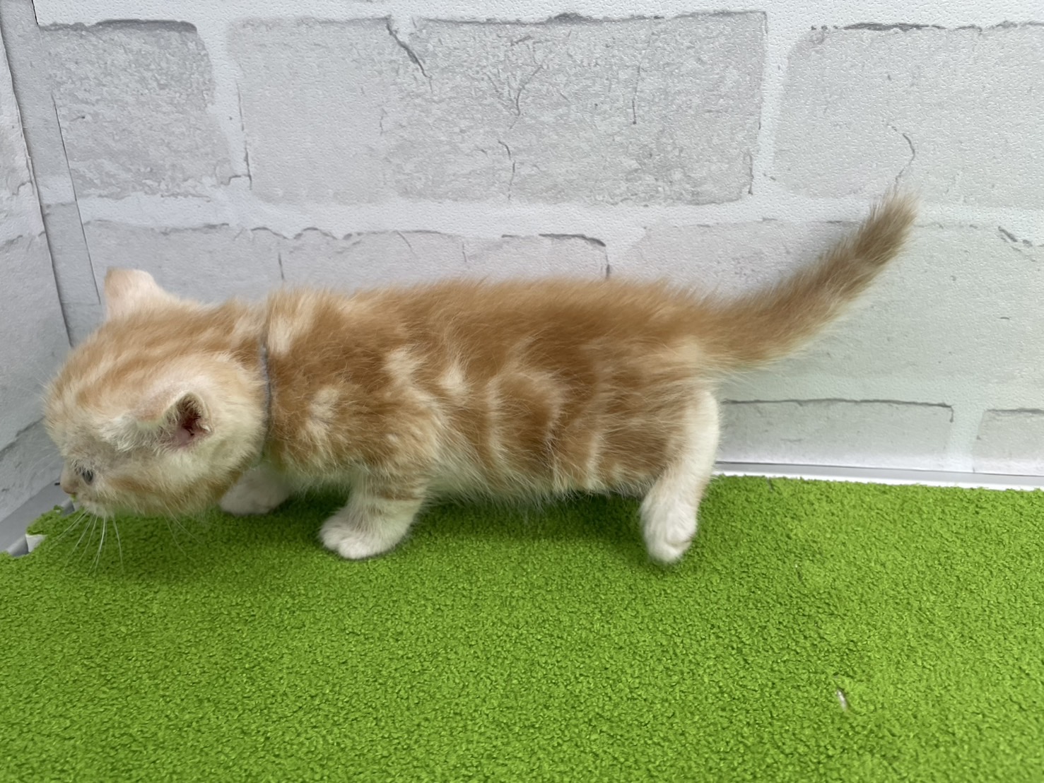 赤ちゃん写真2-2