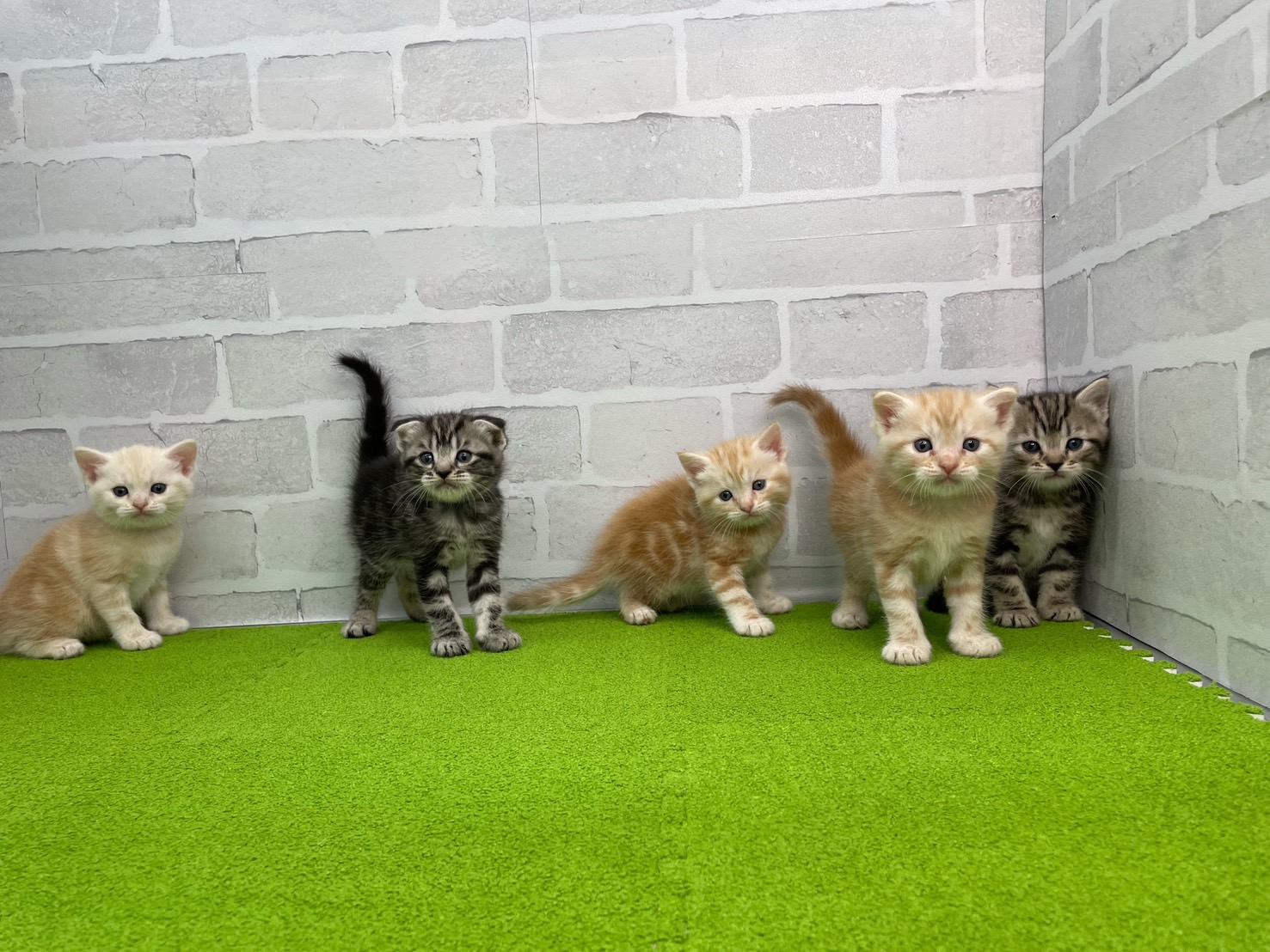 赤ちゃん写真2-3