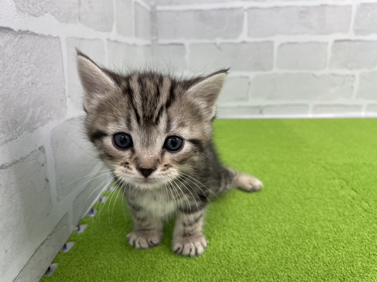 赤ちゃん写真2-1