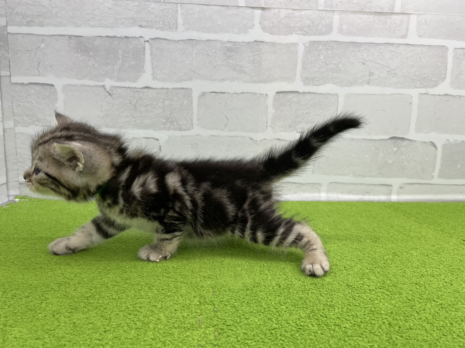 赤ちゃん写真2-2