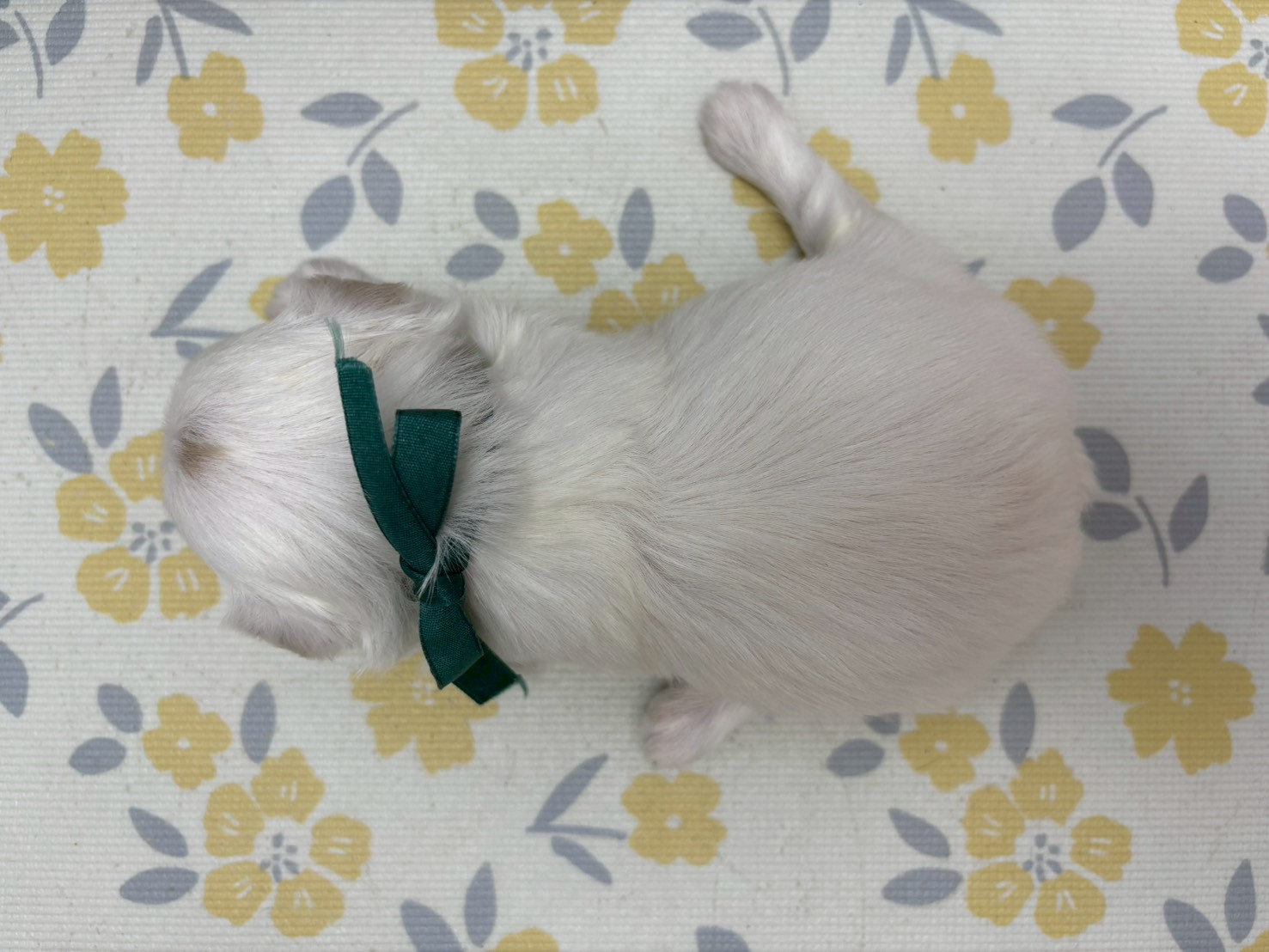 赤ちゃん写真2-3