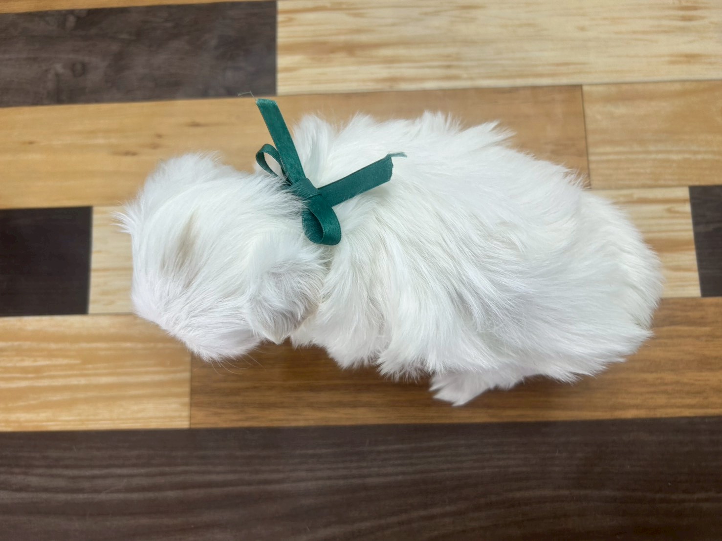 赤ちゃん写真3-3