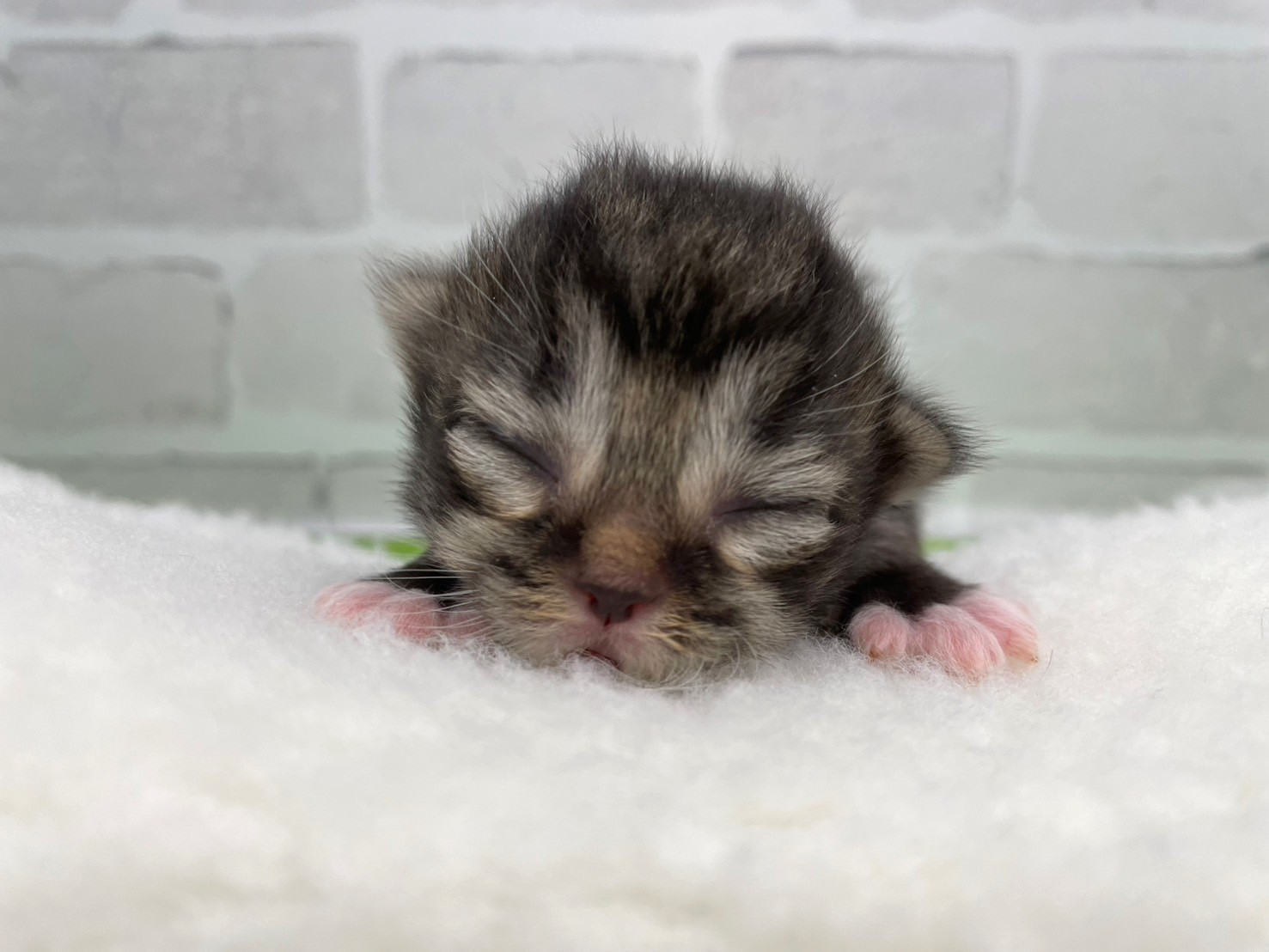 赤ちゃん写真1-1