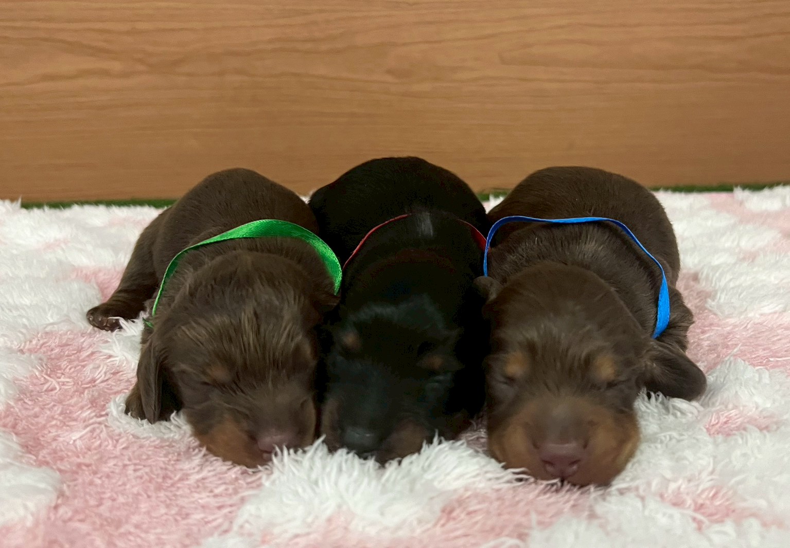 赤ちゃん写真1-3