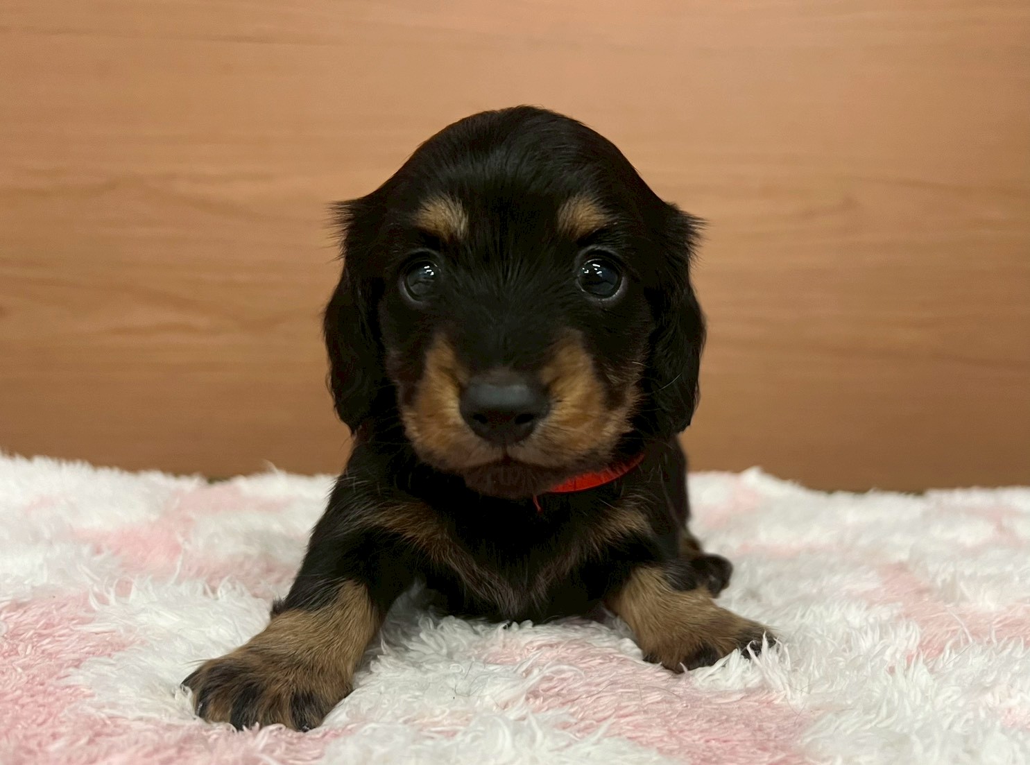 赤ちゃん写真2-1