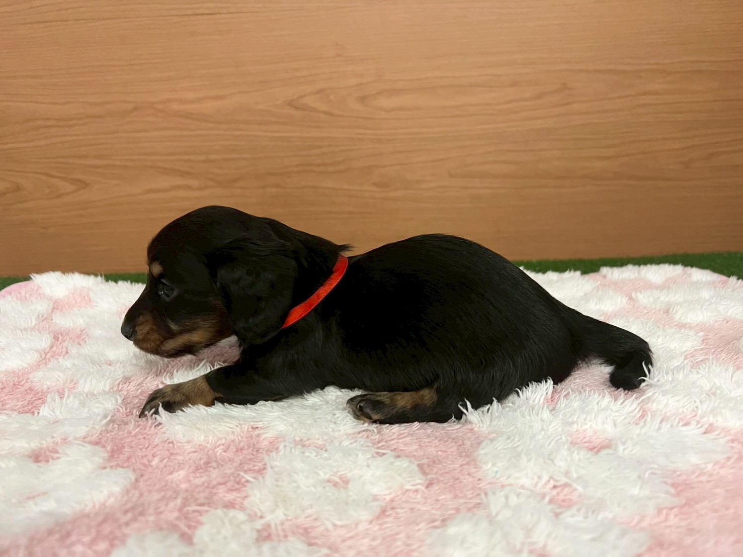 赤ちゃん写真2-2