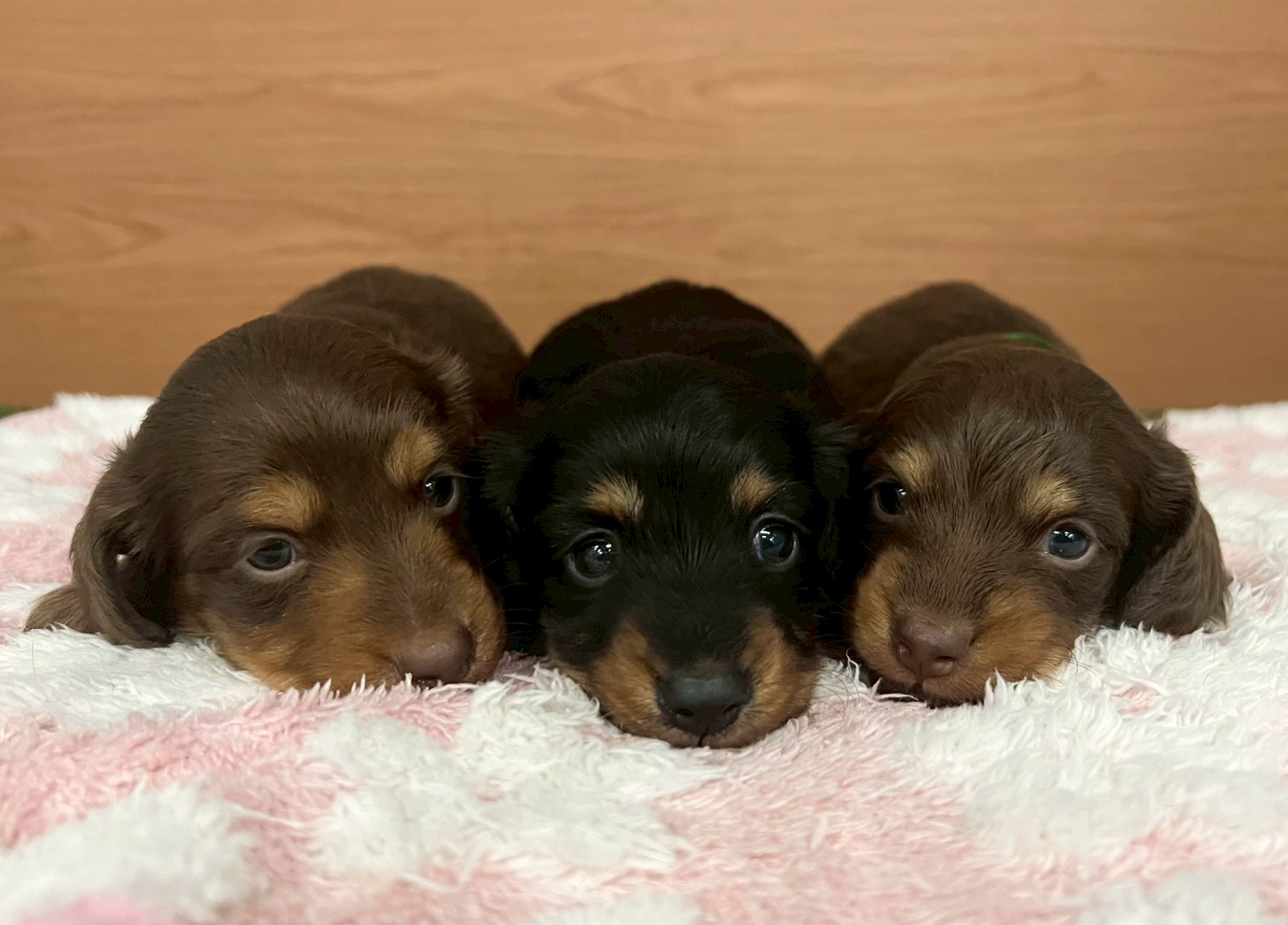 赤ちゃん写真2-3