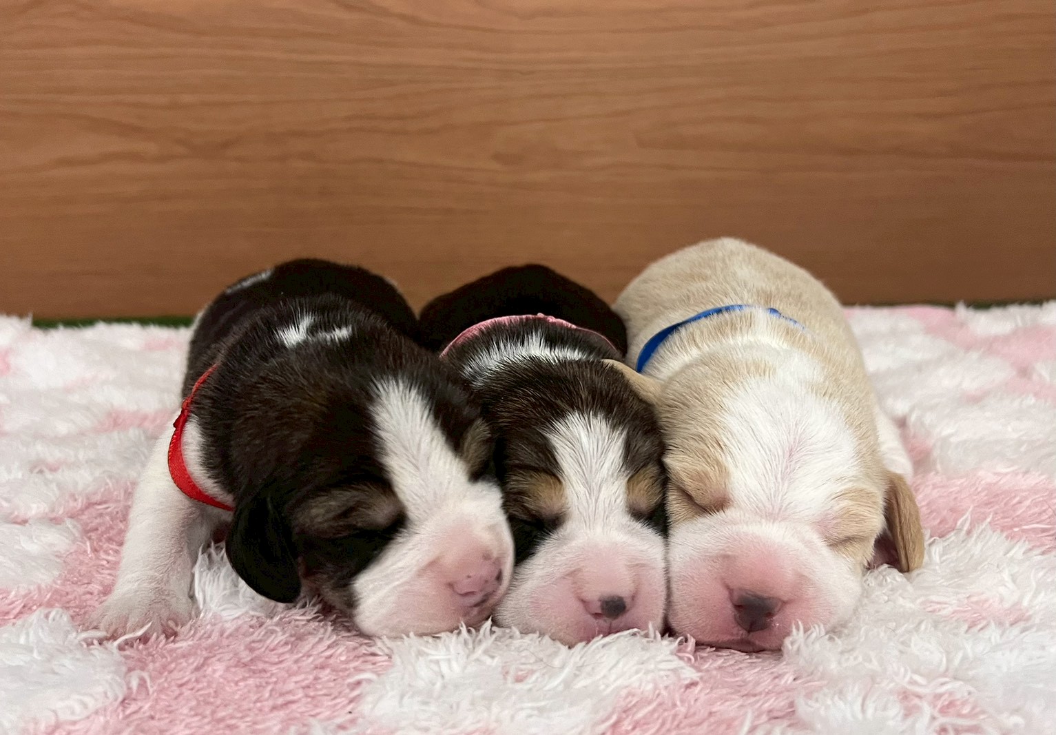 赤ちゃん写真1-3