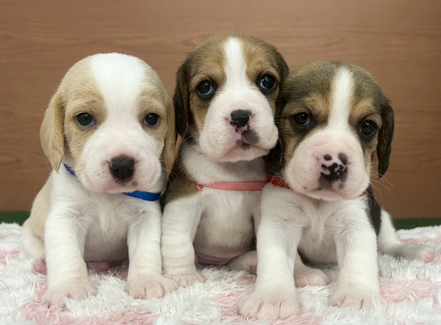 赤ちゃん写真2-3