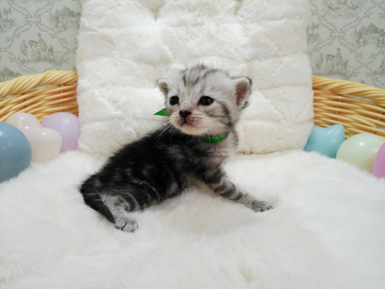 赤ちゃん写真1-2