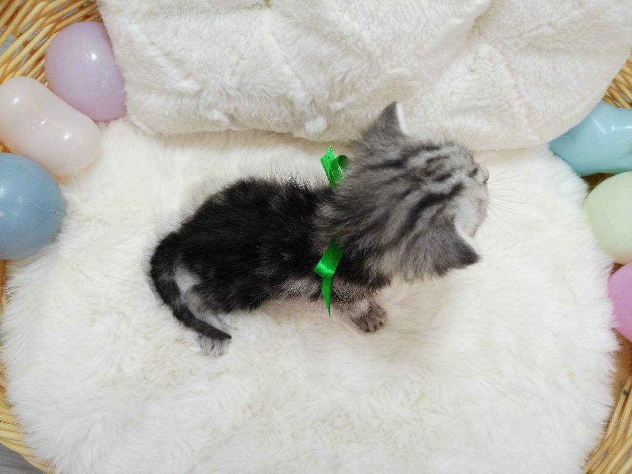 赤ちゃん写真1-3