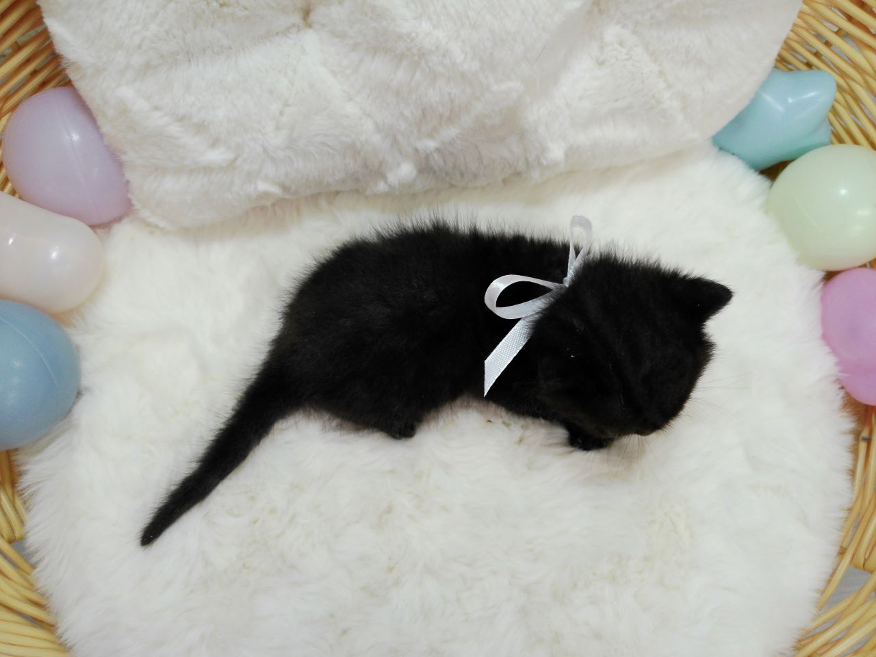 赤ちゃん写真1-3